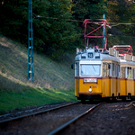 A fővárosi villamosvezetők 40 százaléka nő