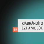 Kifizette az LMP Ron Werbert, vége a párt és a kampánytanácsadó perének