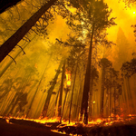 Még mindig lángol a Yosemite, füstben a turisták