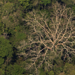 Népszavazáson utasították el az olajkitermelést az Amazonas mentén