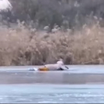 Videóra vették, ahogy kimentenek egy korcsolyázó nőt Tihanyban a beszakadt jégből