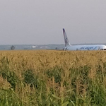 Madarakkal ütközött egy orosz repülő, kukoricaföldön tette le a gépet a pilóta – videó