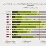 Bejön a magyar orvosoknak a tablet