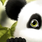 Így tehetünk animált pandát Androidos telefonunkra