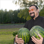 Steven Seagalt is zaklatással vádolják