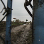 Haverok tava Hatvanban, fegyveres őrrel védett terület