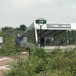 Híres lett a susnyás közepére épített bizarr metróállomás – fotók