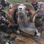 Most egy hatalmas argali juhot ölt meg a Cecil oroszlánt lelövő fogorvos