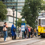 Már a kutyáknak is lehet bérletet venni a BudapestGO-val