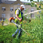 Térképen, hogy hol a legrosszabb most az allergiásoknak