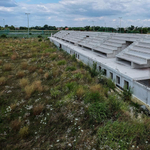 Elárverezik a szigetszentmiklósi stadion-torzót