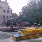 Turistákra dőlt egy fa Velencében