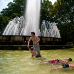 A park hangulatához illő kukák lesznek a Margitszigeten