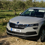 Tárt karokkal: autóztunk egyet az új Skoda Karoqkal