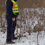 Hurokkal megfogott és agyonvert egy őzet