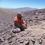 100+ millió éves, nagyon ritka „temetőt” fedeztek fel az Atacama-sivatagban