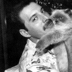 Filmet forgatnak Freddie Mercury életéről