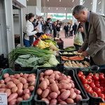 Van egy zöldség, amelynek nemhogy nőtt, még csökkent is az ára idén