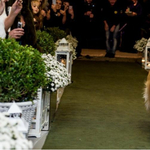 Sose bízzál komoly dolgot golden retrieverre – videó