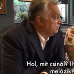 Orbán Viktornak mesélt londoni életéről a Séfek Séfe versenyzője