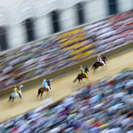 Elmarad a palio, nem lesz sienai vágta