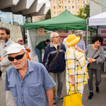 Eddig példátlan esemény zajlik Magyarországon, de az MTI egy sort sem írt róla