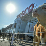 Lépett a Tesco: 165 ezer lesz a legkisebb bruttó bér