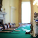 Nem találják ki, egyedül ki állt ki a Downing Street 10. lakói közül