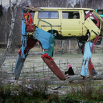 Gigantikus méretű tehenek, újrahasznosított autóalkatrészekből. 