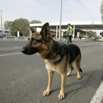 Vádat emeltek a benzinkártyával megkent NAV-vezető ellen