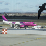 Átalakul a WizzAir, részvénytársaság lesz