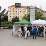 Kedden már közel 73 ezren szavaztak az előválasztáson