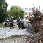 Fotó: Ez a fa dőlt egy egy miskolci iskolásra