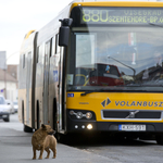 Ragaszkodik az elővárosi buszjáratok volánbuszos átvételéhez a minisztérium