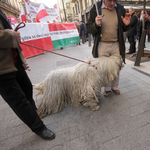 Március 15. megmutatta volna, hogy Orbán a legkisebb rossz?