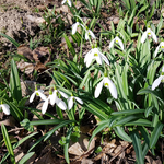 Csütörtökön akár 15 Celsius-fok is lehet