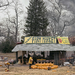 A 80-as évek Amerikájának mélységeit mutatja be Joel Sternfeld fotós különleges bécsi kiállítása