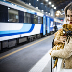 Vége a tesztidőszaknak, mostantól sokkal egyszerűbb kutyával utazni az InterCityken