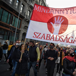 Határozatban állt ki a színművészetis hallgatók mellett a szombathelyi önkormányzat