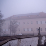 Több száz pszichológus tiltakozik a nemzeti konzultáció ellen