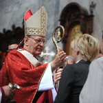 Erdő Pétert esélyesnek tartják a pápai posztra