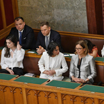 Veszteséges lett Orbán Ráhel apósának cége