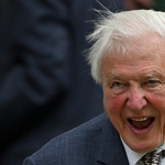 A 98 éves Sir David Attenborough kilátogatott Wimbledonba, és mindenki felállva tapsolt