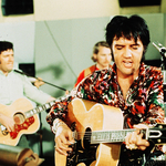 Meghalt Elvis Presley gitárosa