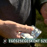 Daganattal műtötték, mégis egészségesként szerepel az oltási listán egy 60 éves férfi