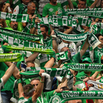Az Esbjergen át vezet a Győr útja a BL-döntőbe