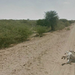 A Google Street View legsokkolóbb képei