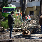 Illés Zoltán megbánta, hogy megszavazta a Liget átépítését