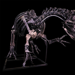 Egymilliárd forintért vett meg valaki egy dinoszaurusz-csontvázat