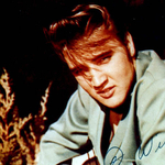 Elkelt Elvis Presley repülője